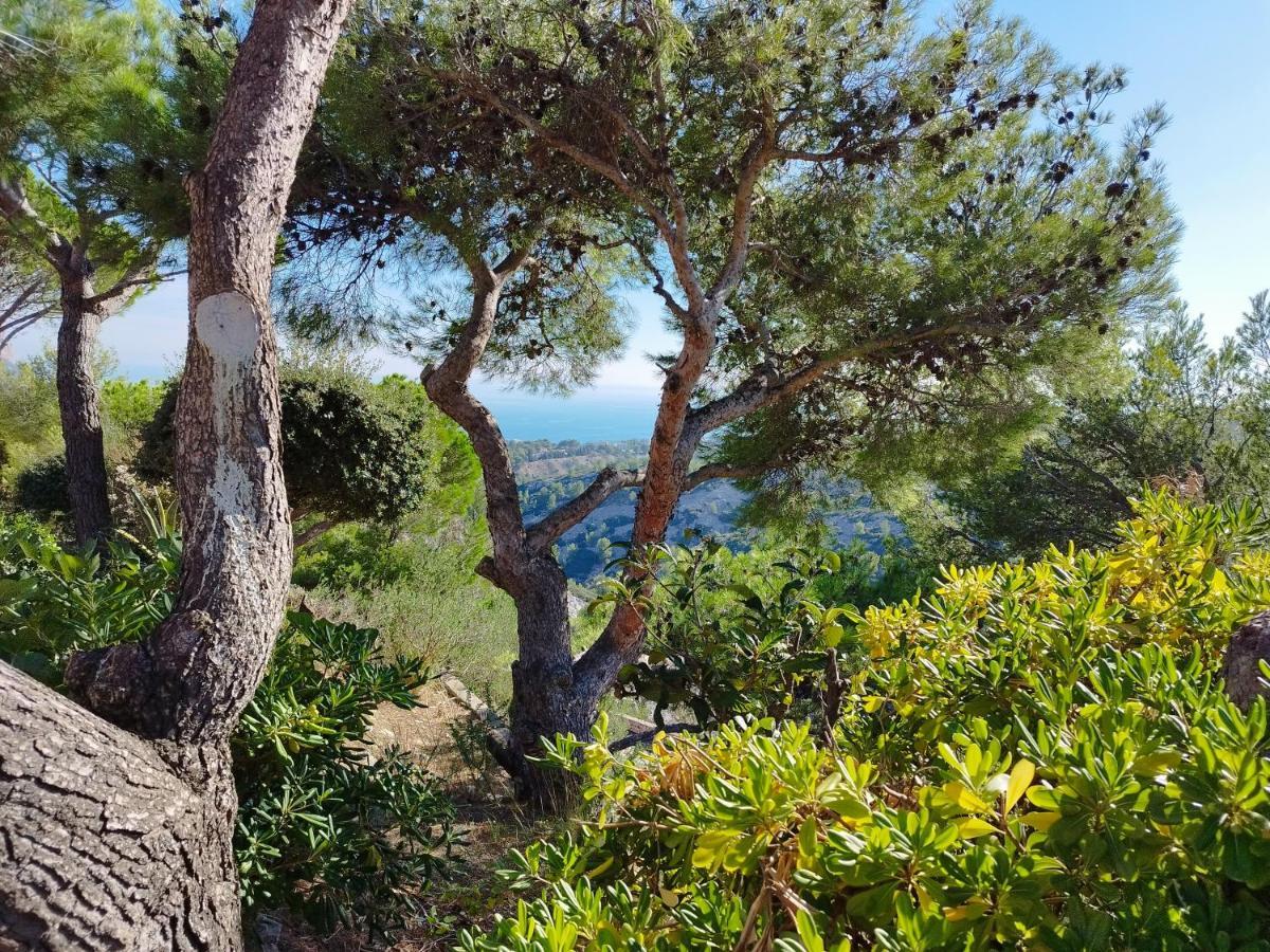 Апартаменты Sweet Calanque - Host Provence Каси Экстерьер фото